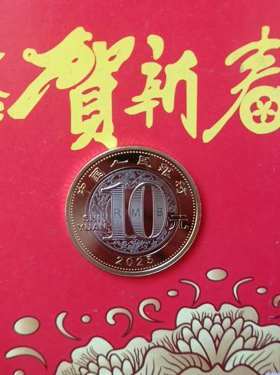 大年初一，乙巳贺岁