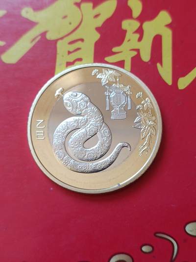 大年初一，乙巳贺岁