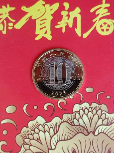 大年初一，乙巳贺岁