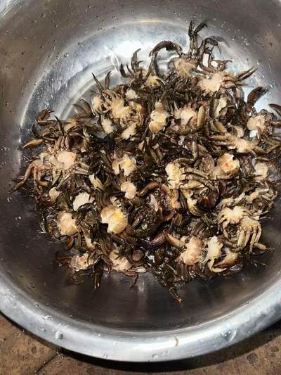 云南人的年，上下集