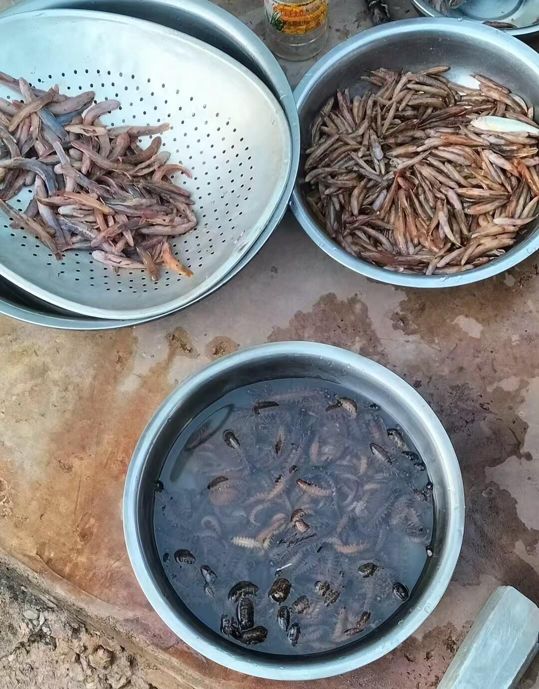 云南人的年，上下集