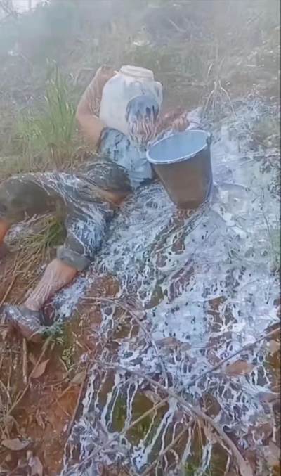 泪水打湿猪脚饭，胶水倒身剃亮蛋