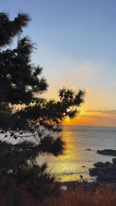 松，海与夕阳