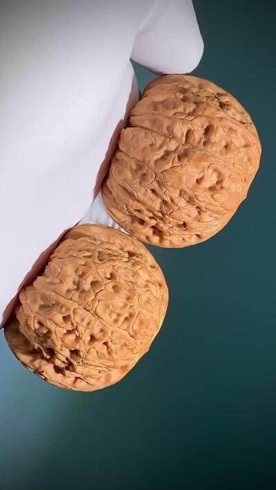 【平谷•血麒麟】—2491号