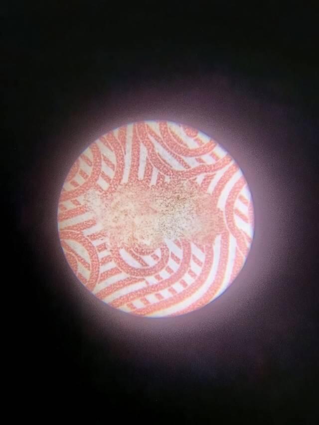 蛇钞错版，漏印，蛇出圈，贰出头，封装时正面多了一根头发