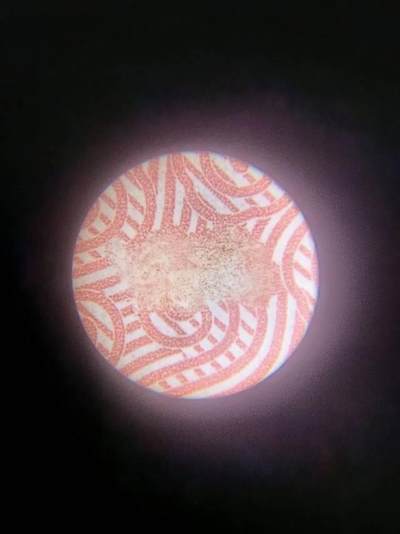 蛇钞错版，漏印，蛇出圈，贰出头，封装时正面多了一根头发