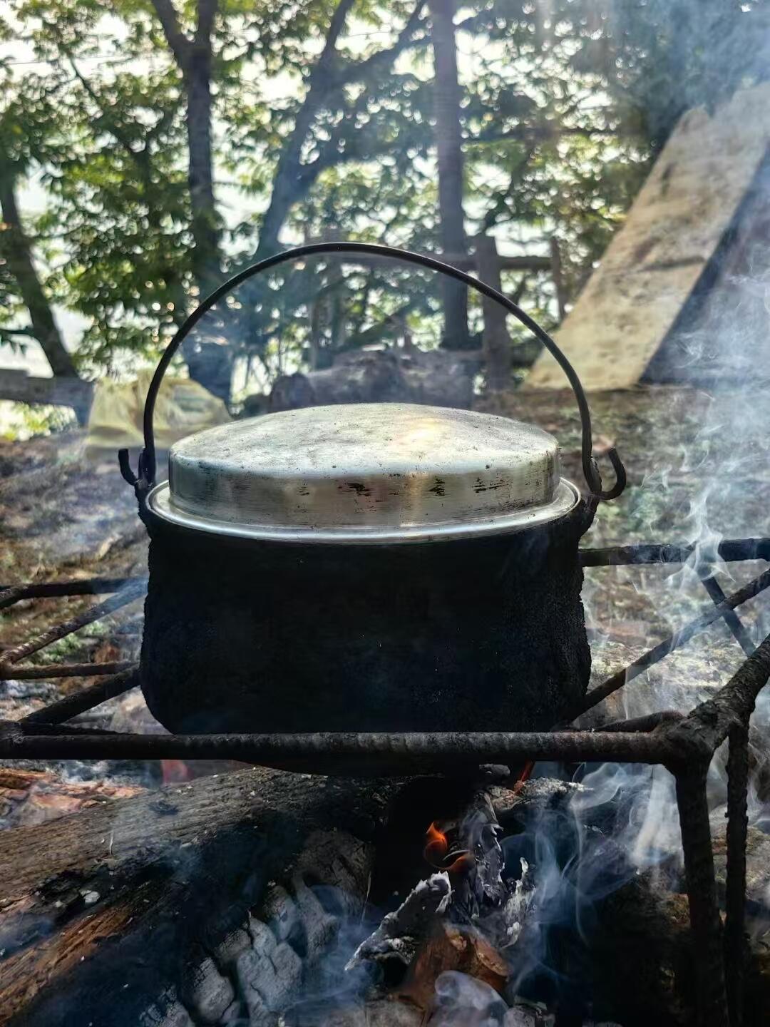 今年的哀牢山古树茶，开始采摘制作啦，开始期待吧