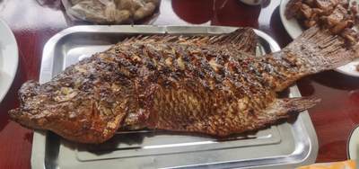 太阳☀掉头的地方“双胞城”说是烧烤🍖好吃。