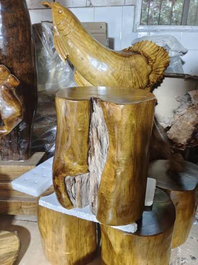 四川小叶桢楠雷击木墩