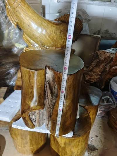 四川小叶桢楠雷击木墩