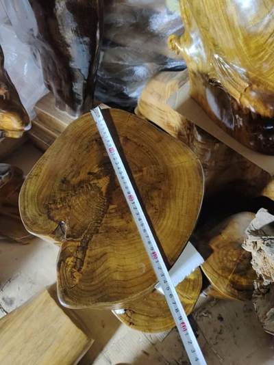 四川小叶桢楠雷击木墩