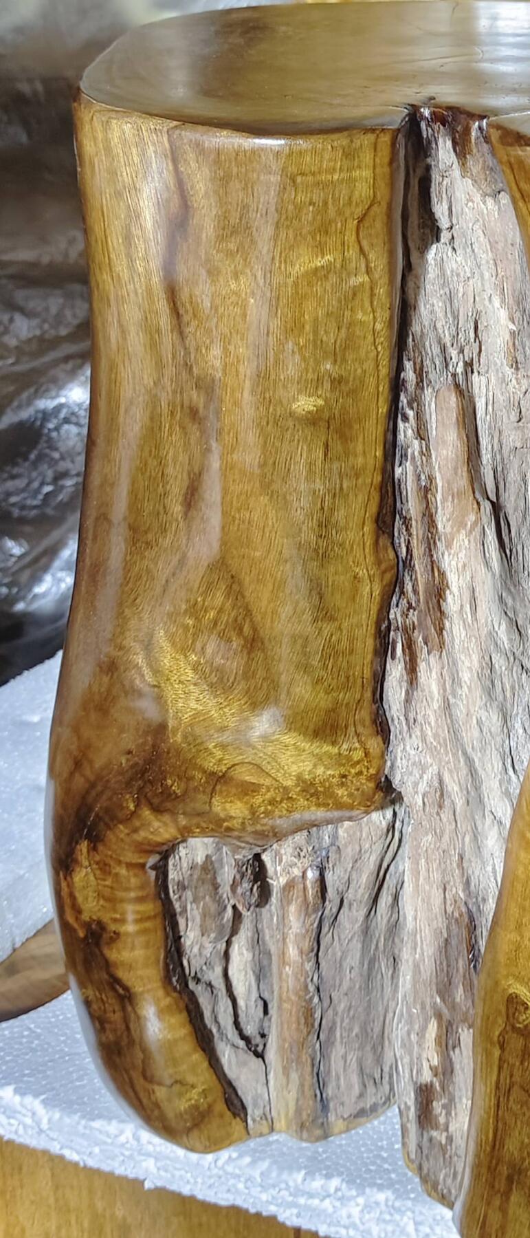 四川小叶桢楠雷击木墩