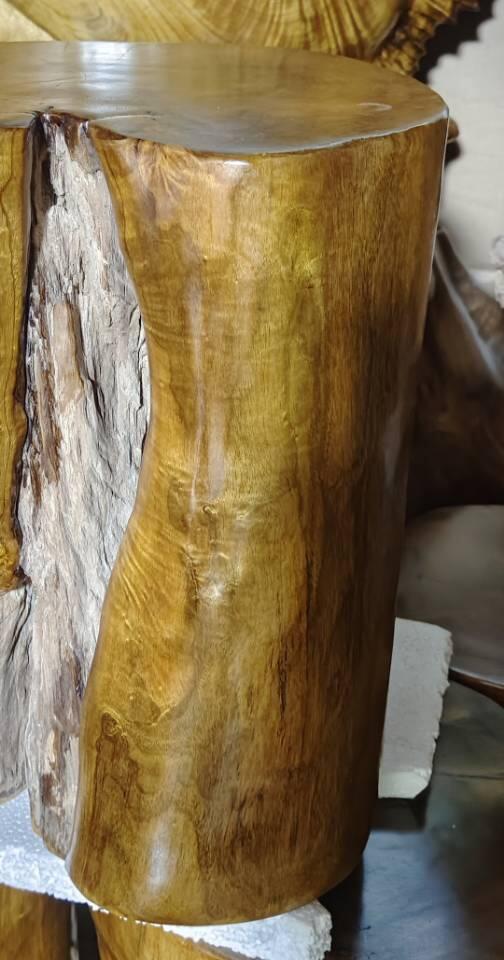 四川小叶桢楠雷击木墩