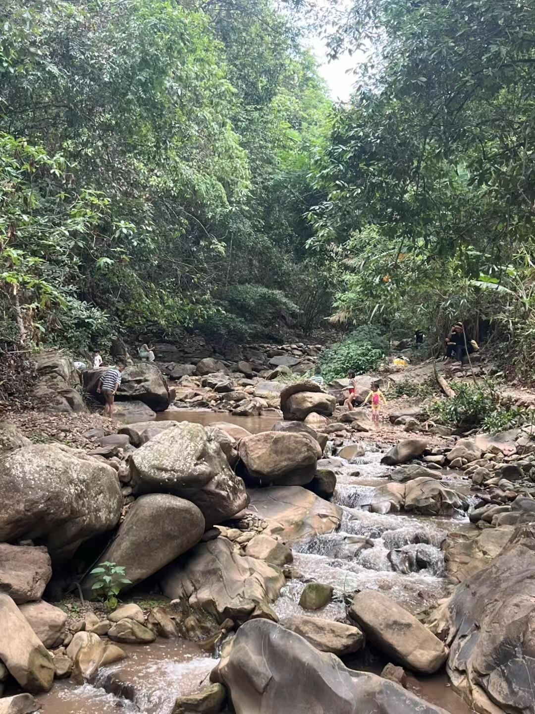 山野之间，忽而今夏