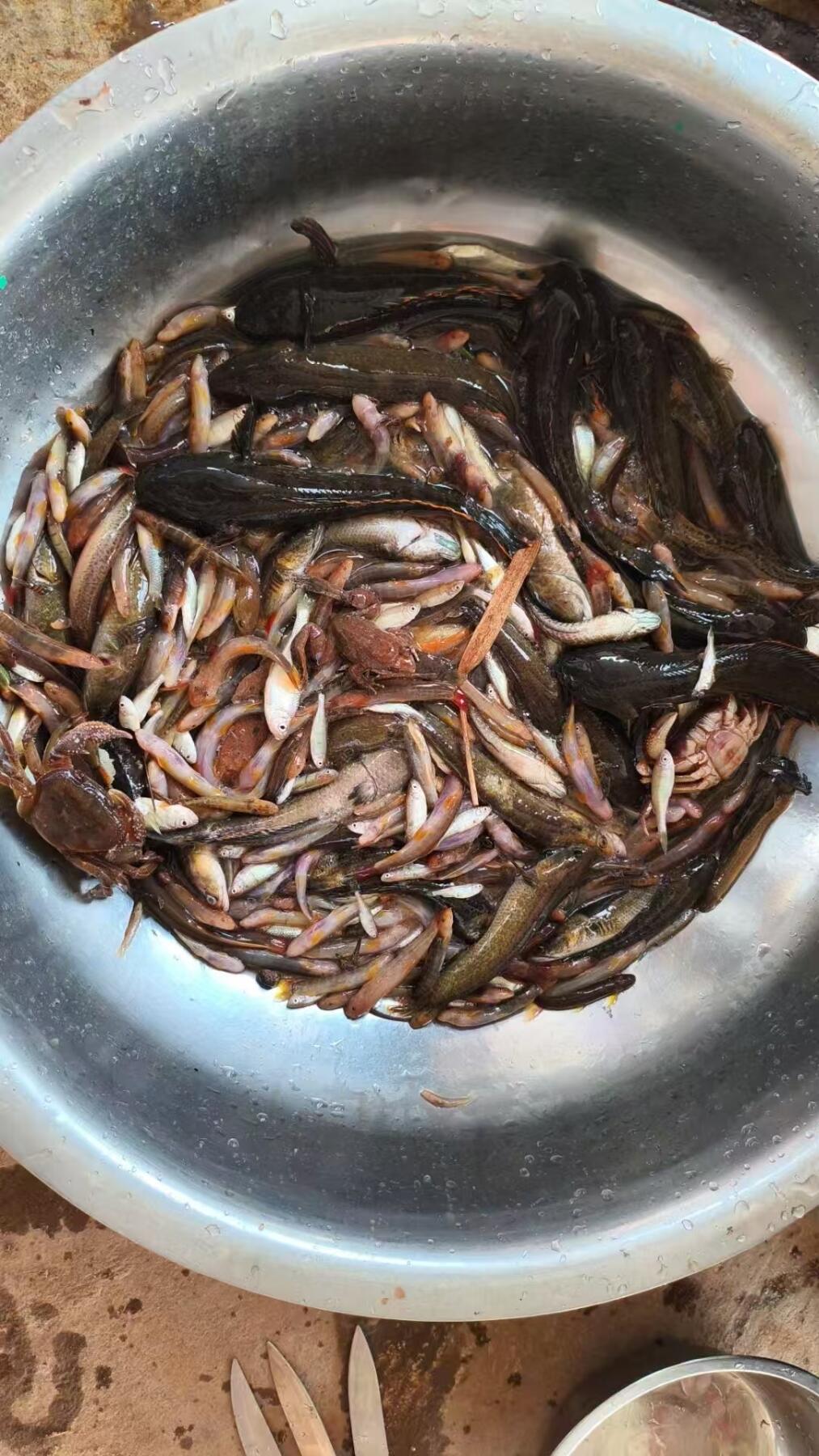 普洱人的周末