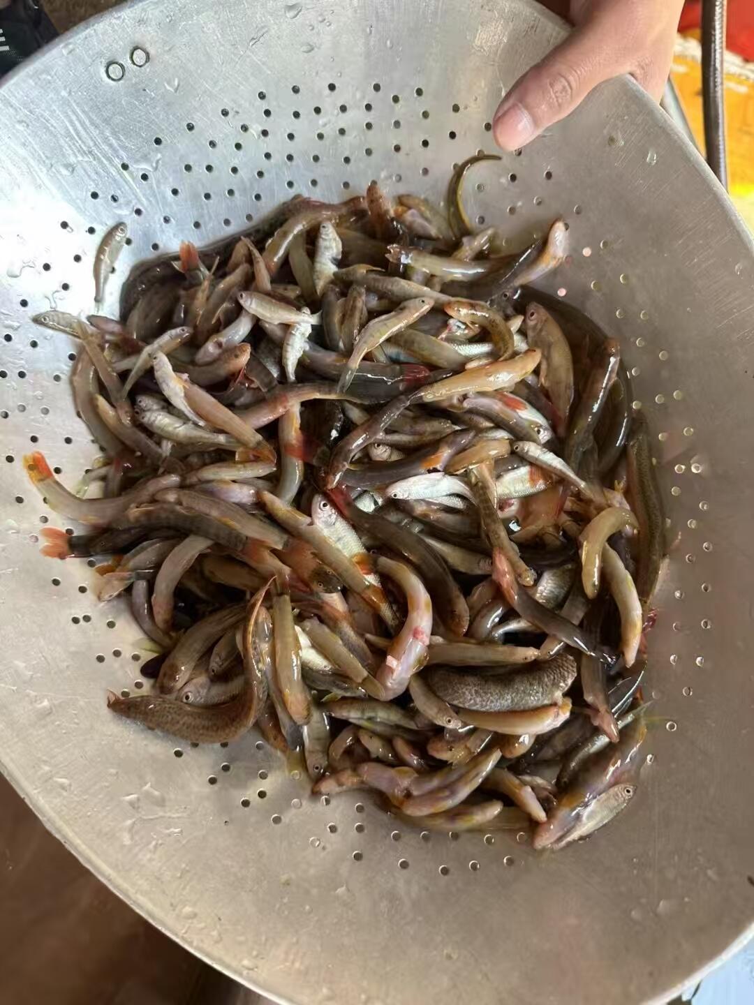 普洱人的周末