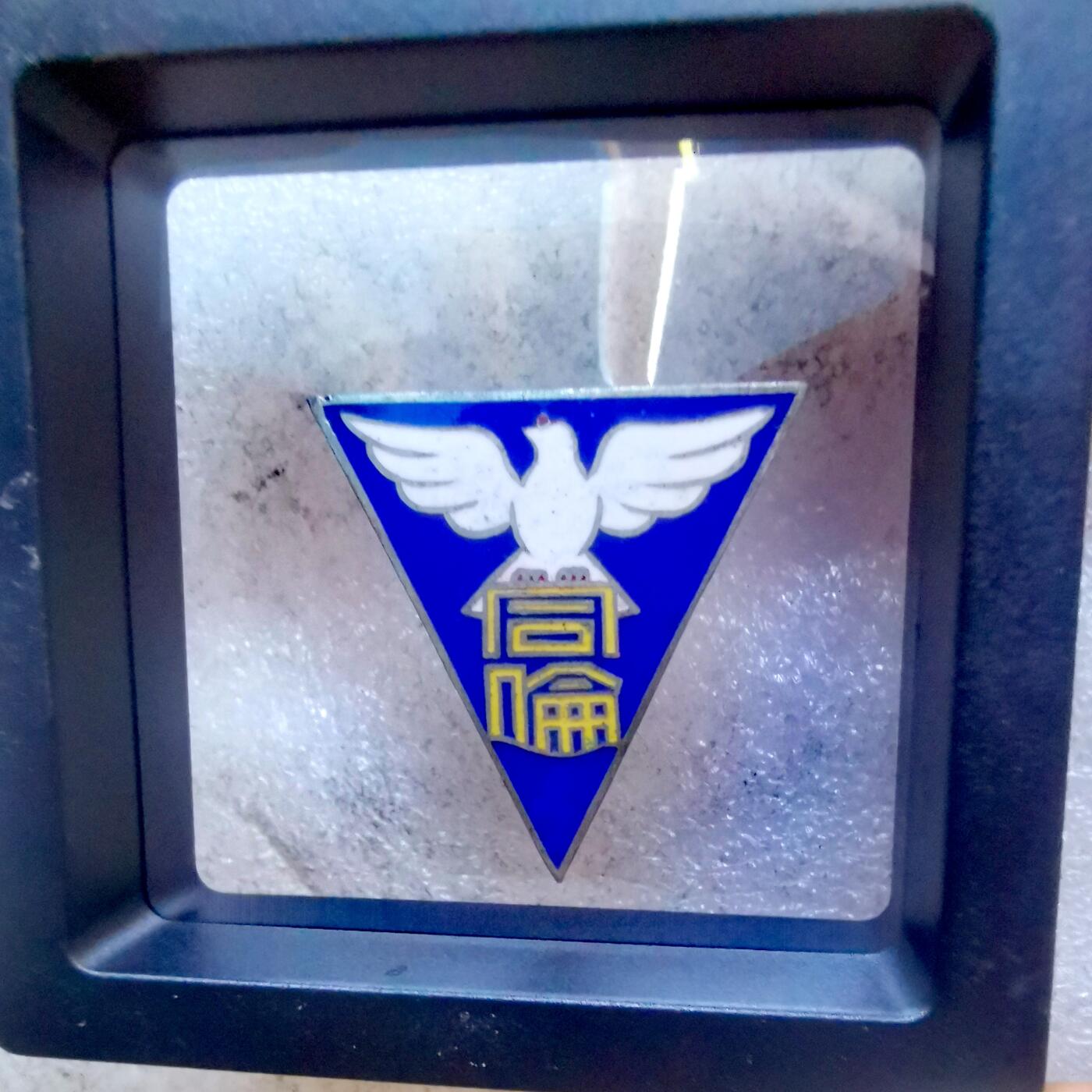 南京金陵（同伦）中学