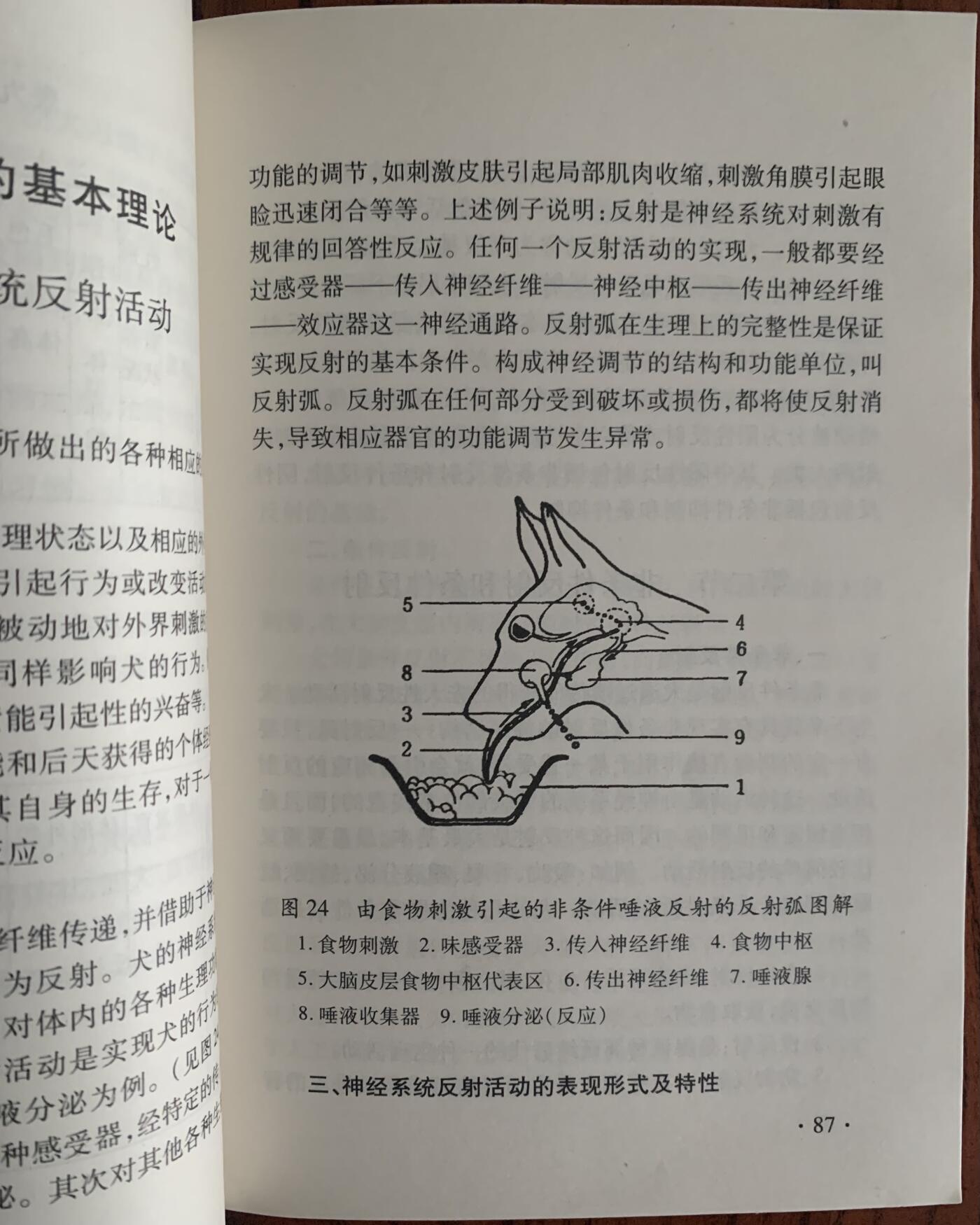 警犬训导员教材