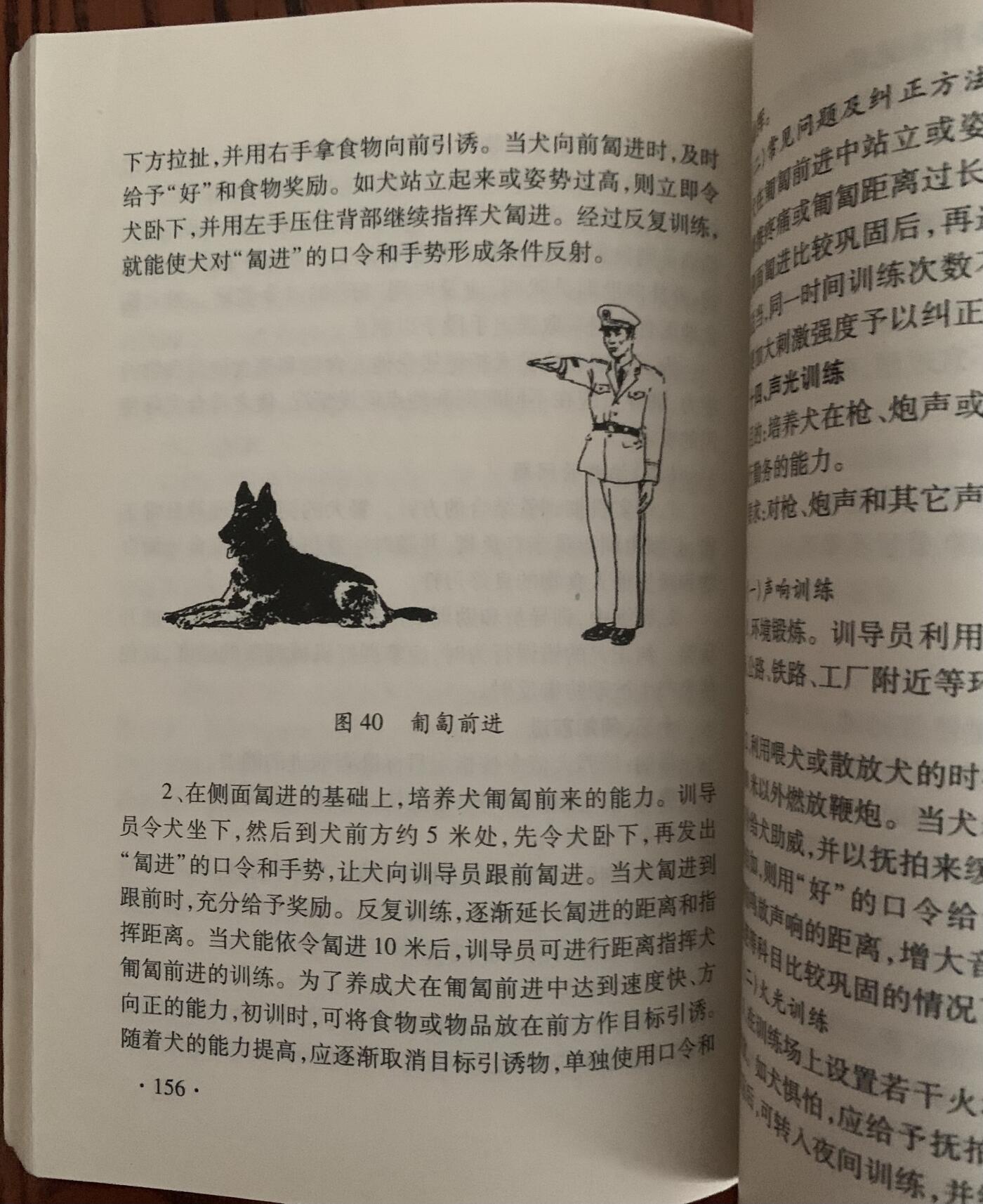 警犬训导员教材