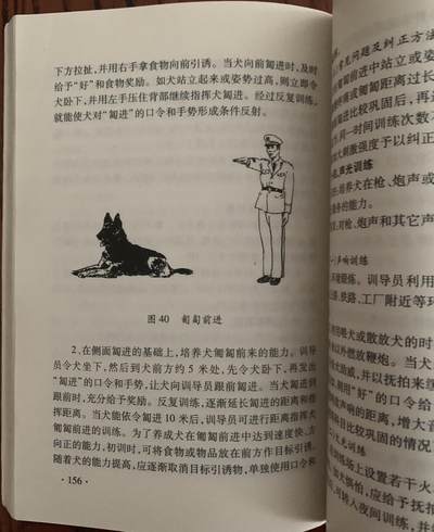 警犬训导员教材