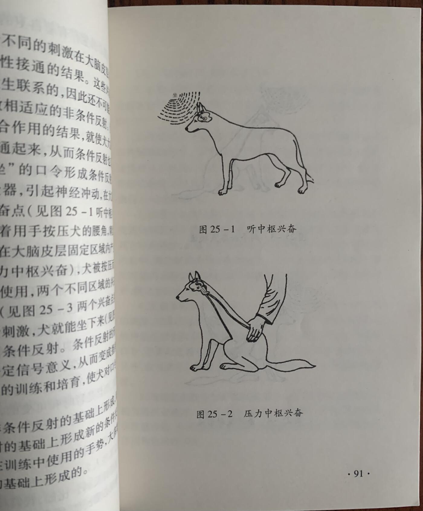 警犬训导员教材