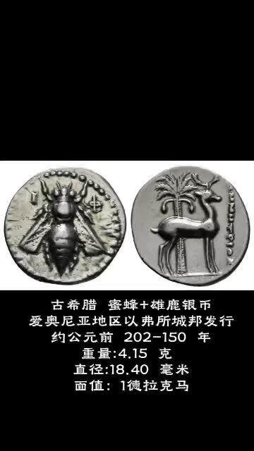 古希腊 蜜蜂+雄鹿银币
助你“蜂”回“鹿”转