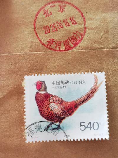 环颈雉——买了一枚邮票的意外之喜