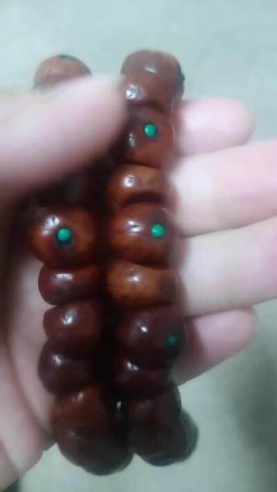 凤眼菩提