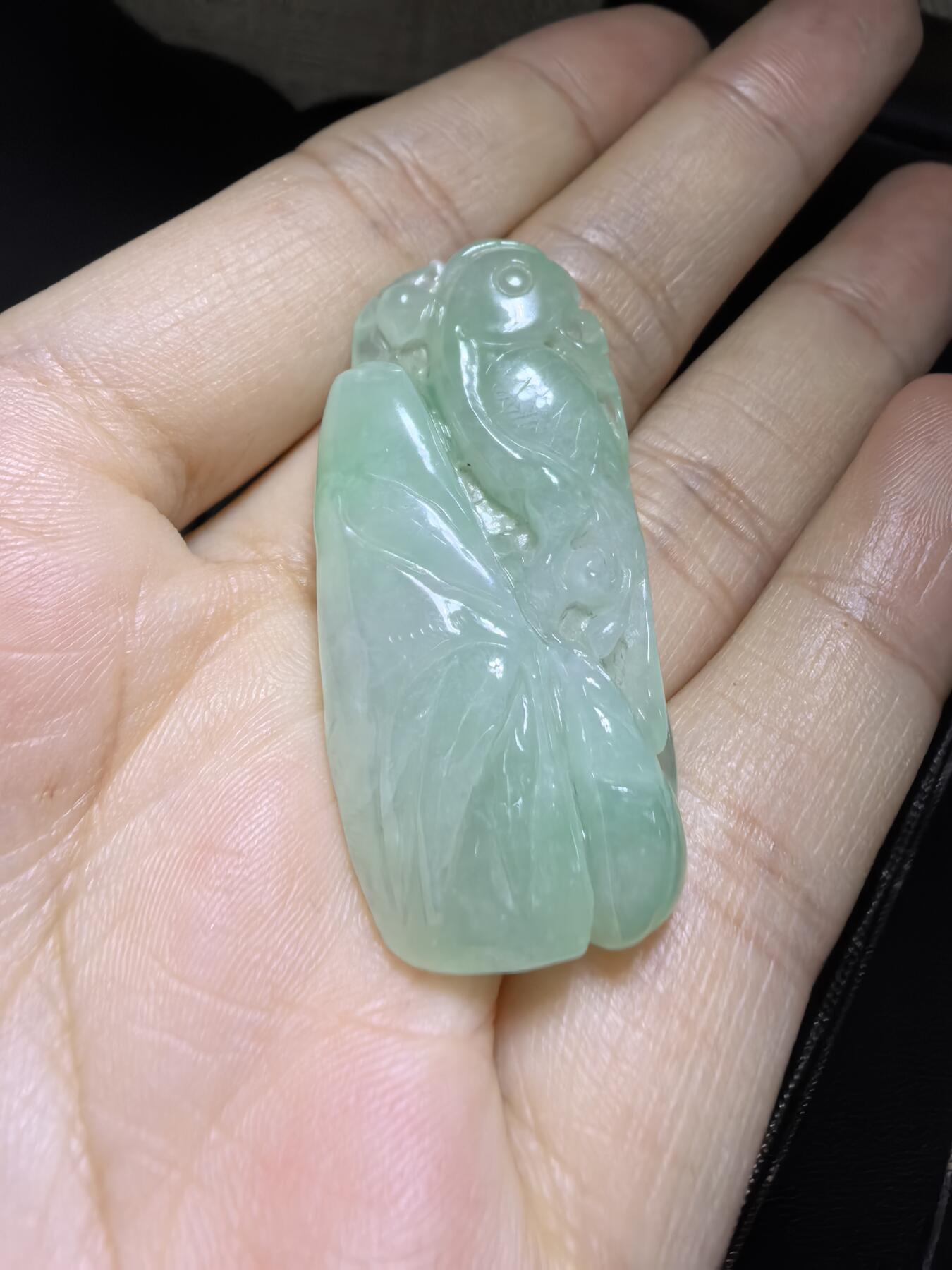 纯天然A货翡翠喜上眉梢吊坠挂件男女款，老坑料，清新淡雅，水润冰透，双面雕刻，尺寸:40mm*19mm，实物实拍，所见即所得！