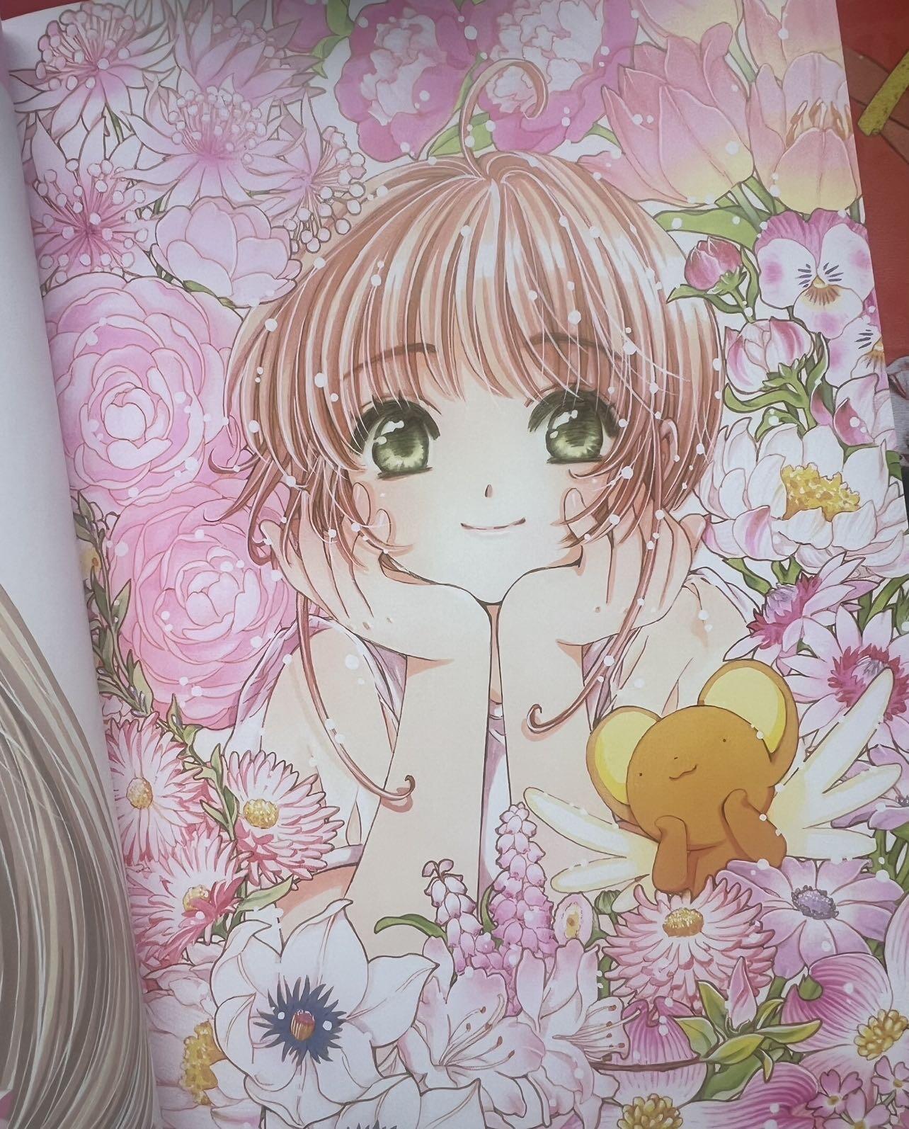 CLAMP黑白画册～