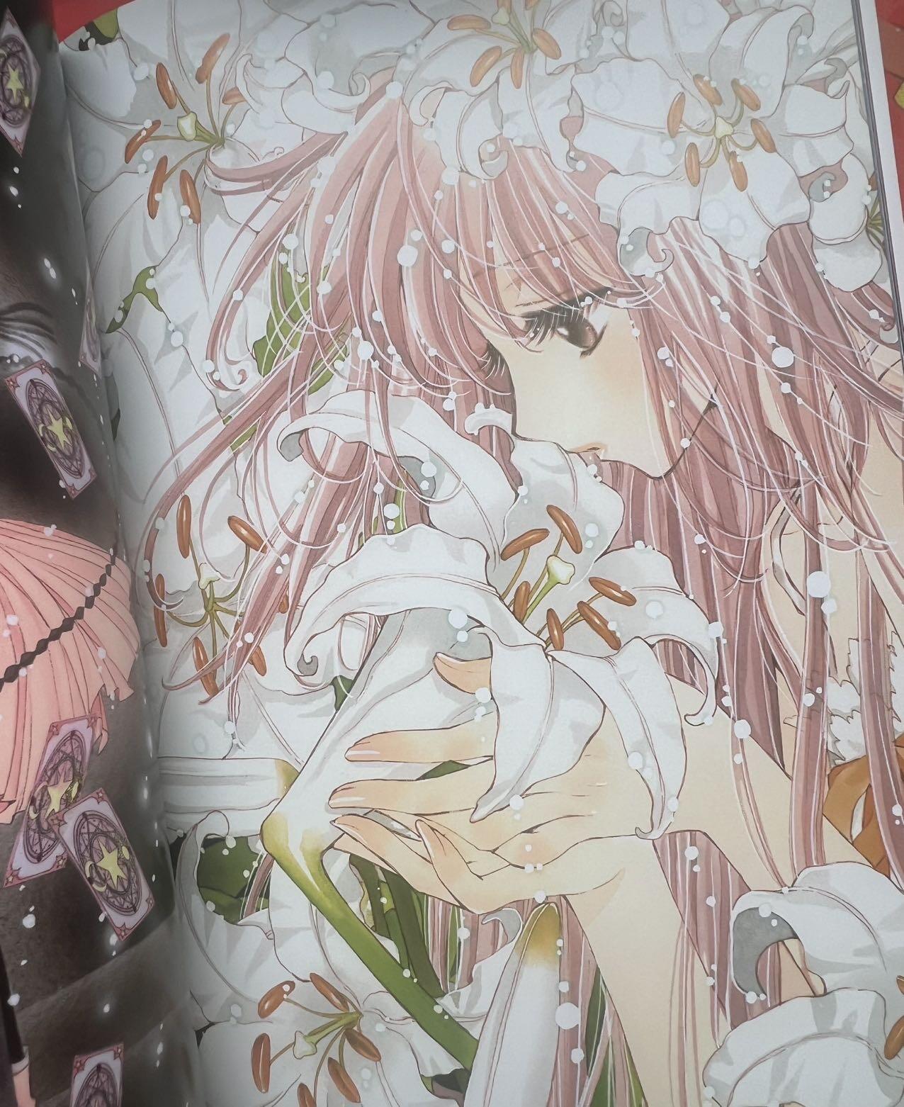 CLAMP黑白画册～