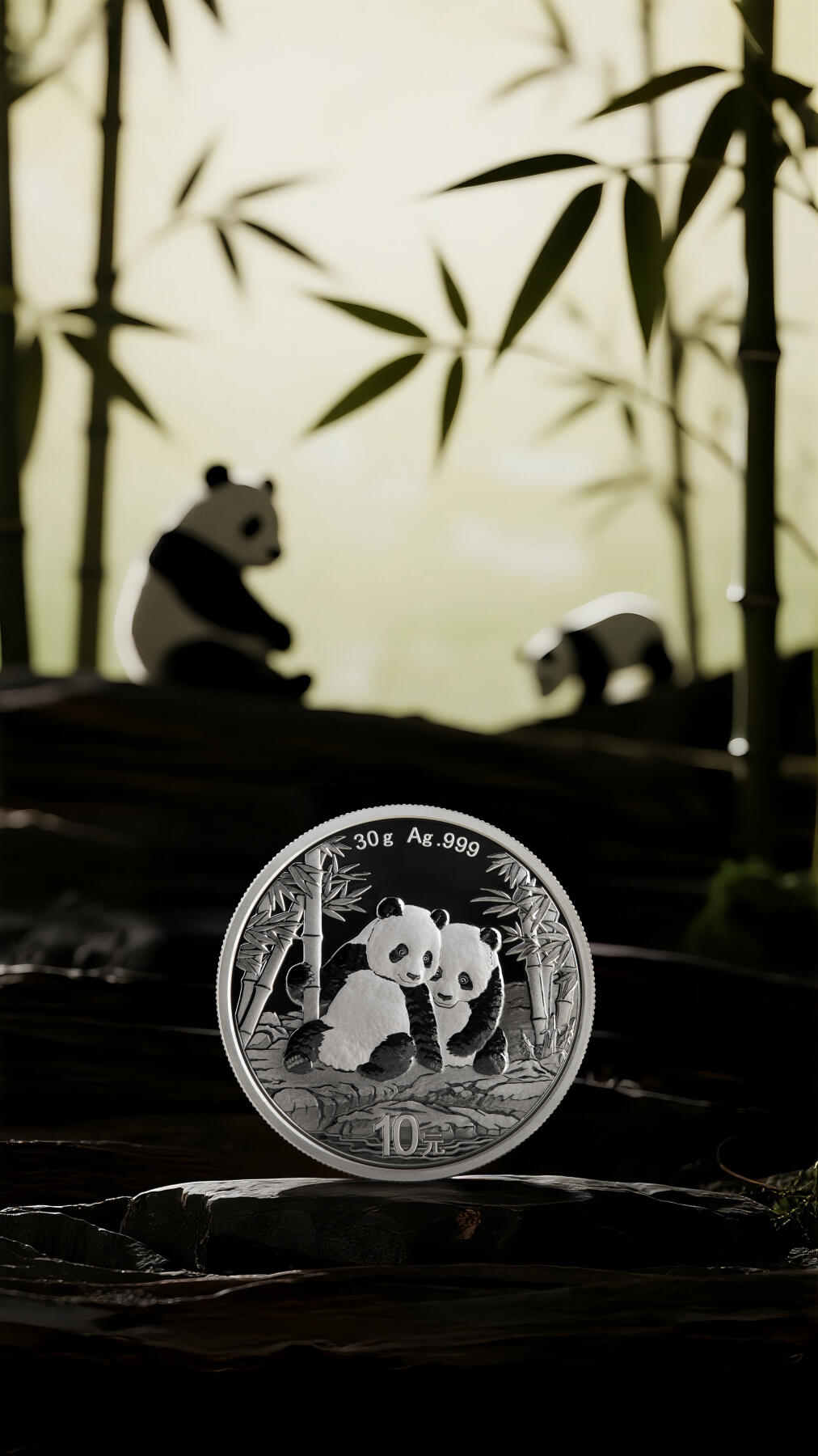 2026版熊猫贵金属纪念币赏析