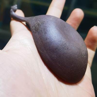 紫砂凤头勺是明代至清代流行的食具造型特征
紫砂凤头勺通常为凤首造型，勺柄雕刻凤凰头部形象，尾部延伸为勺柄，整体造型融合了传统凤纹装饰与紫砂工艺。尺寸：9cm＊4.5cm