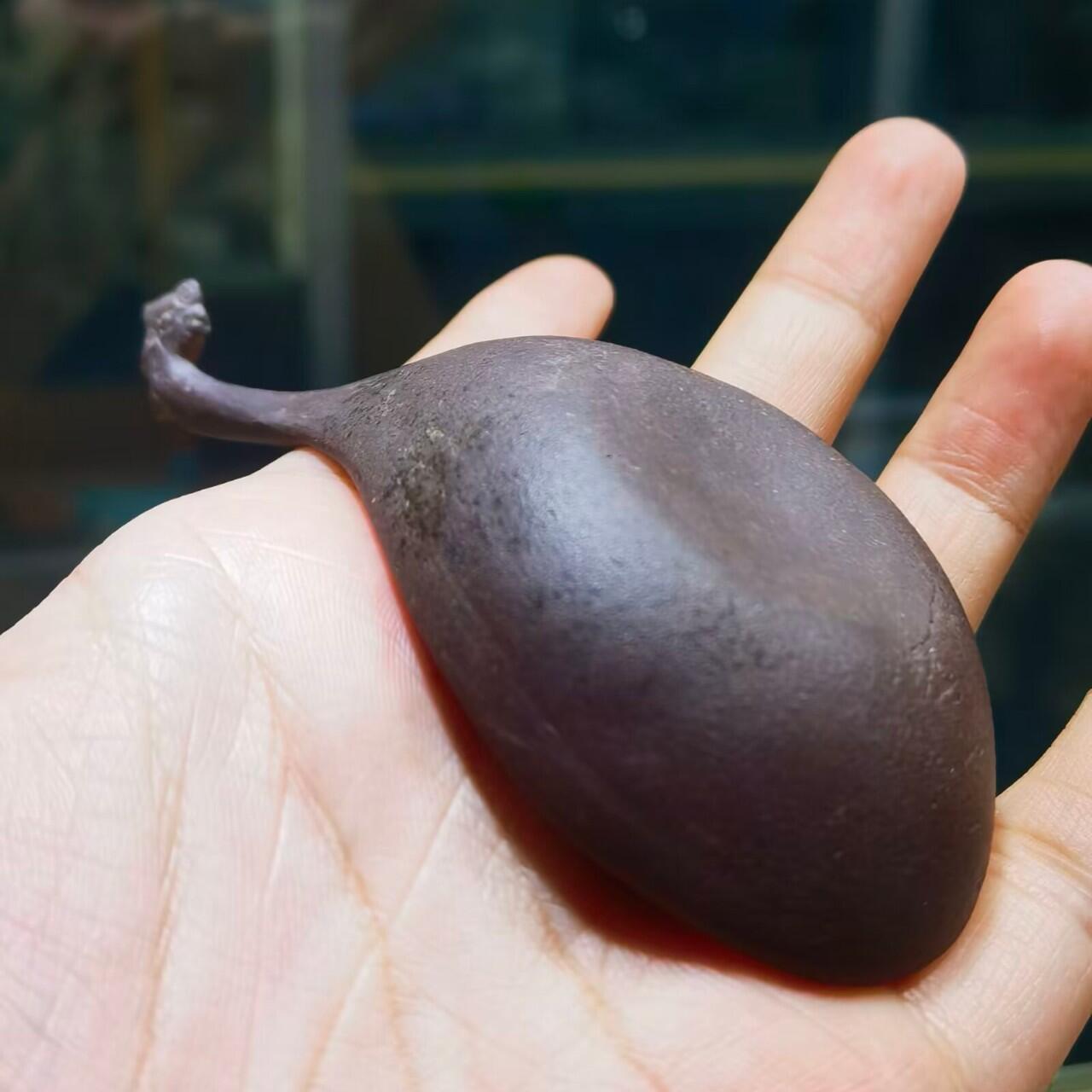 紫砂凤头勺是明代至清代流行的食具造型特征
紫砂凤头勺通常为凤首造型，勺柄雕刻凤凰头部形象，尾部延伸为勺柄，整体造型融合了传统凤纹装饰与紫砂工艺。尺寸：9cm＊4.5cm