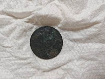 有没有懂王，我这两个是什么币，老家翻出来的