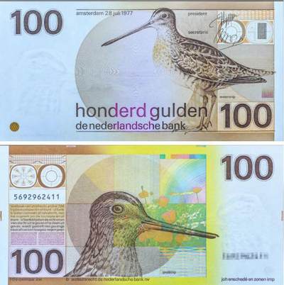 【外钞圈·行情速递】热门品种实时聊，避坑指南看这里