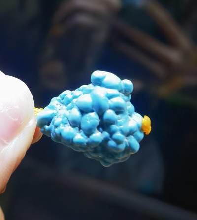 玉化绿松石异形吊坠挂件锁骨链，纯天然原矿绿松石，无沁色、无柱胶、无过蜡，瓷度极高已玉化导致拍摄反光，实物更惊艳！非市面上通货，佩戴与众不同！