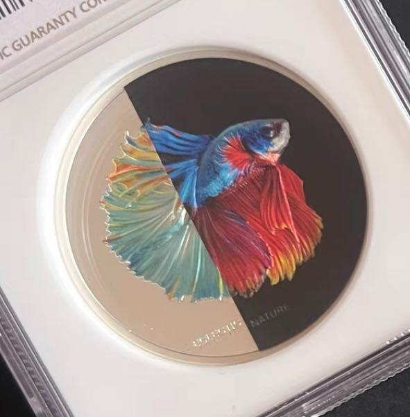 【库克】斗鱼钱币～