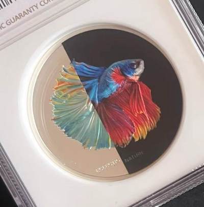 【库克】斗鱼钱币～