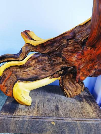 太行崖柏财神摆件，太行崖柏三色扭转虎皮原皮原色财神摆件，尺寸：含底座，高54宽27