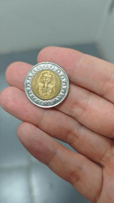 最近薅到的外国钢镚