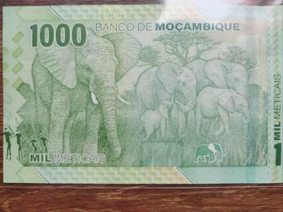 莫桑比克钱币上的动物形象，欢迎大家评论点赞
