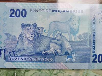 莫桑比克钱币上的动物形象，欢迎大家评论点赞