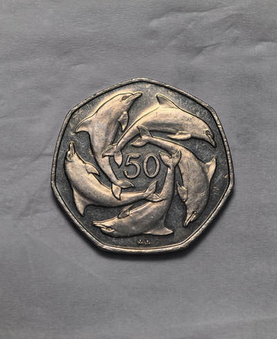 直布罗陀海豚环游币