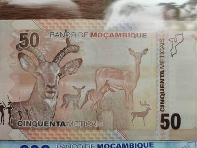 莫桑比克钱币上的动物形象，欢迎大家评论点赞