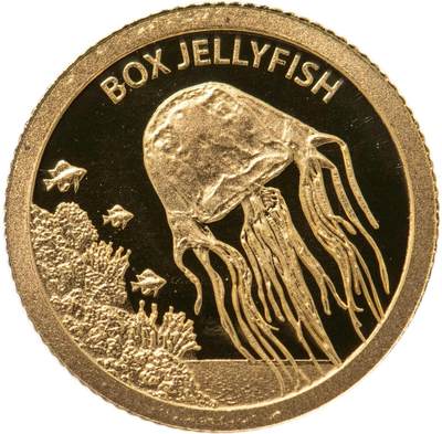 水母硬币系列