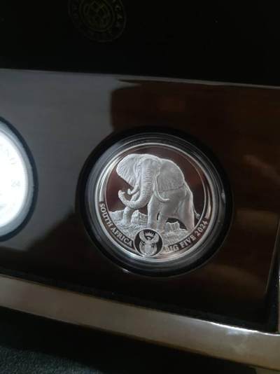 南非制币厂克鲁格银币和英国皇家制币厂的马年银币，真心漂亮