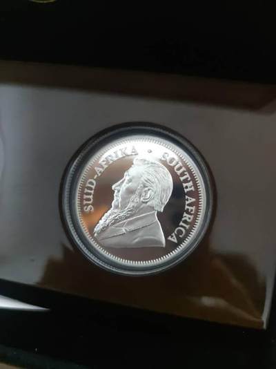 南非制币厂克鲁格银币和英国皇家制币厂的马年银币，真心漂亮