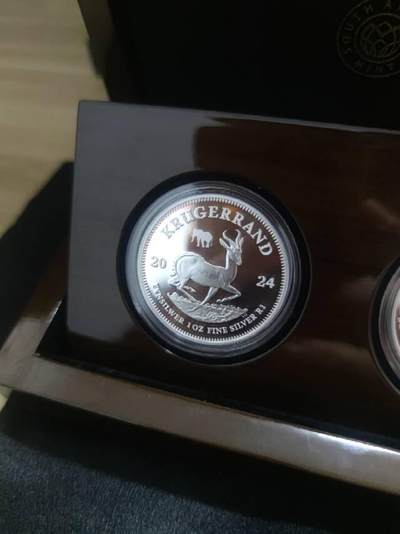 南非制币厂克鲁格银币和英国皇家制币厂的马年银币，真心漂亮