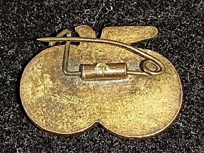 中苏友谊和平鸽